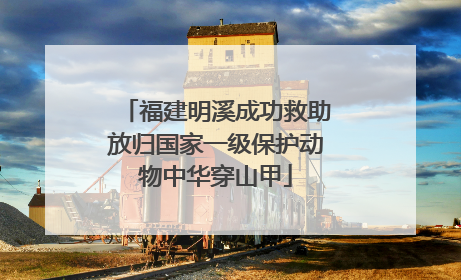 福建明溪成功救助放归国家一级保护动物中华穿山甲