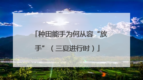 种田能手为何从容“放手”（三夏进行时）