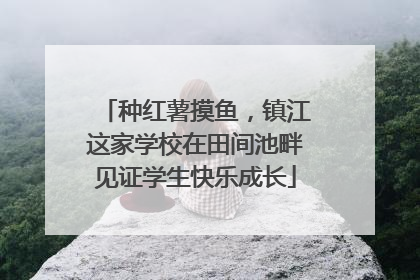 种红薯摸鱼，镇江这家学校在田间池畔见证学生快乐成长