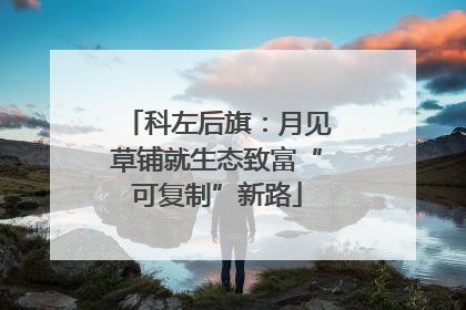 科左后旗：月见草铺就生态致富“可复制”新路