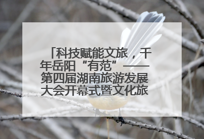 科技赋能文旅，千年岳阳“有范”——第四届湖南旅游发展大会开幕式暨文化旅游推介会侧记