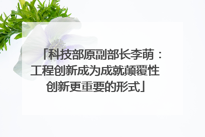 科技部原副部长李萌：工程创新成为成就颠覆性创新更重要的形式