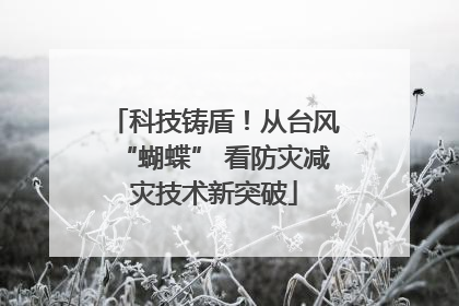 科技铸盾！从台风“蝴蝶” 看防灾减灾技术新突破