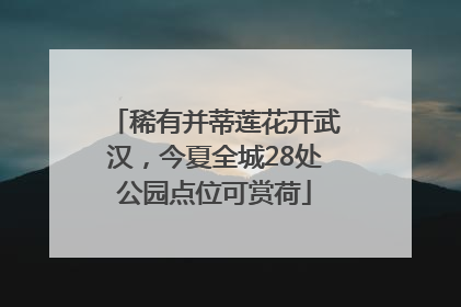 稀有并蒂莲花开武汉，今夏全城28处公园点位可赏荷