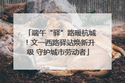 端午“驿”路暖杭城！文一西路驿站焕新升级 守护城市劳动者