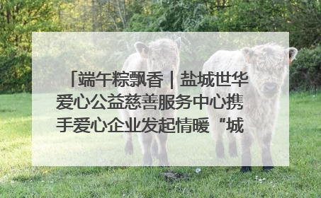 端午粽飘香｜盐城世华爱心公益慈善服务中心携手爱心企业发起情暖“城市守护者”慰问活动