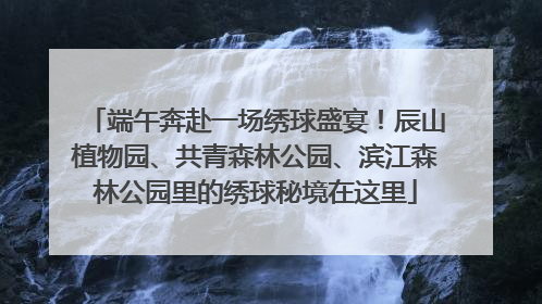 端午奔赴一场绣球盛宴！辰山植物园、共青森林公园、滨江森林公园里的绣球秘境在这里