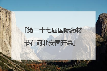 第二十七届国际药材节在河北安国开幕
