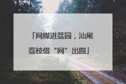 网媒进荔园，汕尾荔枝借“网”出圈