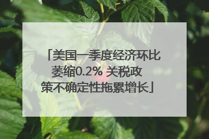 美国一季度经济环比萎缩0.2% 关税政策不确定性拖累增长