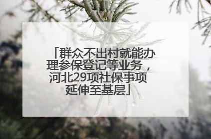 群众不出村就能办理参保登记等业务，河北29项社保事项延伸至基层