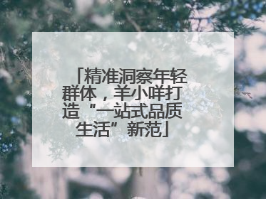 精准洞察年轻群体，羊小咩打造“一站式品质生活”新范