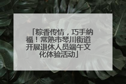 粽香传情,巧手纳福!常熟市琴川街道开展退休人员端午文化体验活动