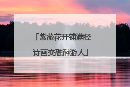 紫薇花开铺满径 诗画交融醉游人