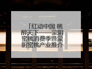 红动中国 桃醉天下——蒙阴蜜桃消费季暨蒙阴蜜桃产业推介会成功举办