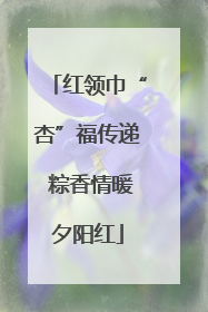 红领巾“杏”福传递 粽香情暖夕阳红