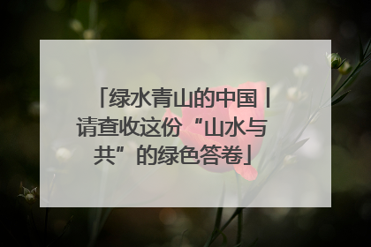 绿水青山的中国丨请查收这份“山水与共”的绿色答卷