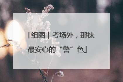 组图｜考场外，那抹最安心的“警”色