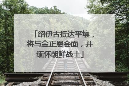 绍伊古抵达平壤，将与金正恩会面，并缅怀朝鲜战士