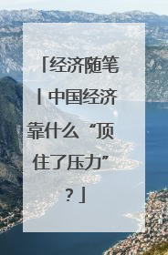经济随笔丨中国经济靠什么“顶住了压力”？