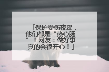 保护受伤夜鹭，他们都是“热心肠”！网友：做好事真的会很开心！