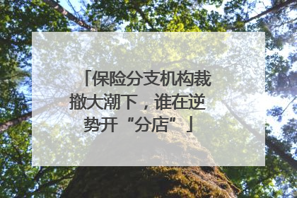 保险分支机构裁撤大潮下，谁在逆势开“分店”