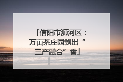 信阳市浉河区：万亩茶庄园飘出“三产融合”香