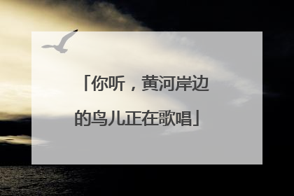 你听，黄河岸边的鸟儿正在歌唱