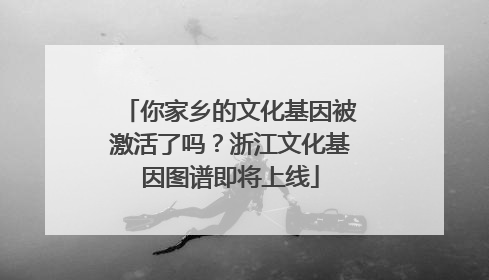 你家乡的文化基因被激活了吗？浙江文化基因图谱即将上线