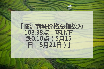 临沂商城价格总指数为103.38点，环比下跌0.10点（5月15日—5月21日）