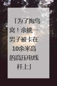 为了掏鸟窝！余姚一男子被卡在10余米高的高压电线杆上