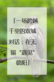 一场跨越千里的双城对话：在无锡“遇见”德阳