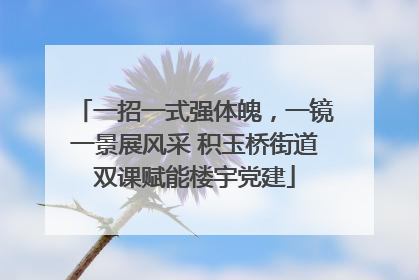 一招一式强体魄，一镜一景展风采 积玉桥街道双课赋能楼宇党建