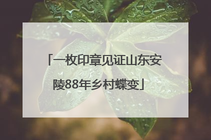 一枚印章见证山东安陵88年乡村蝶变