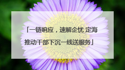 一链响应，速解企忧 定海推动干部下沉一线送服务