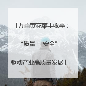 万亩黄花菜丰收季：“质量 + 安全” 驱动产业高质量发展