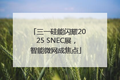 三一硅能闪耀2025 SNEC展，智能微网成焦点