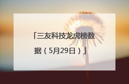 三友科技龙虎榜数据（5月29日）