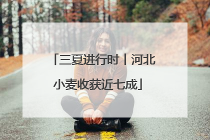 三夏进行时丨河北小麦收获近七成