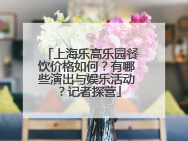 上海乐高乐园餐饮价格如何？有哪些演出与娱乐活动？记者探营