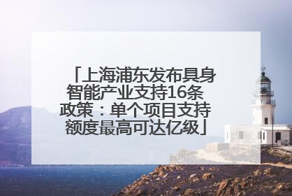 上海浦东发布具身智能产业支持16条政策：单个项目支持额度最高可达亿级