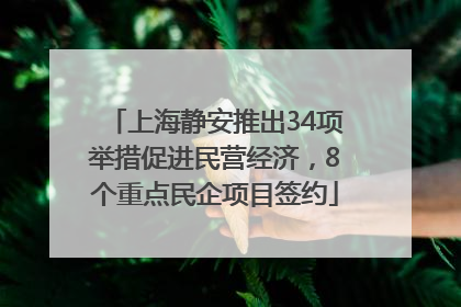 上海静安推出34项举措促进民营经济，8个重点民企项目签约