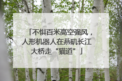 不惧百米高空强风，人形机器人在燕矶长江大桥走“猫道”