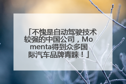 不愧是自动驾驶技术较强的中国公司，Momenta得到众多国际汽车品牌青睐！