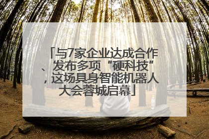 与7家企业达成合作、发布多项“硬科技”，这场具身智能机器人大会蓉城启幕