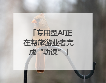 专用型AI正在帮旅游业者完成“功课”