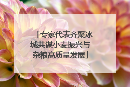 专家代表齐聚冰城共谋小麦振兴与杂粮高质量发展