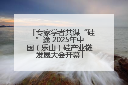 专家学者共谋“硅”途 2025年中国（乐山）硅产业链发展大会开幕
