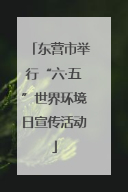 东营市举行“六·五”世界环境日宣传活动