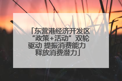 东营港经济开发区“政策+活动”双轮驱动 提振消费能力 释放消费潜力